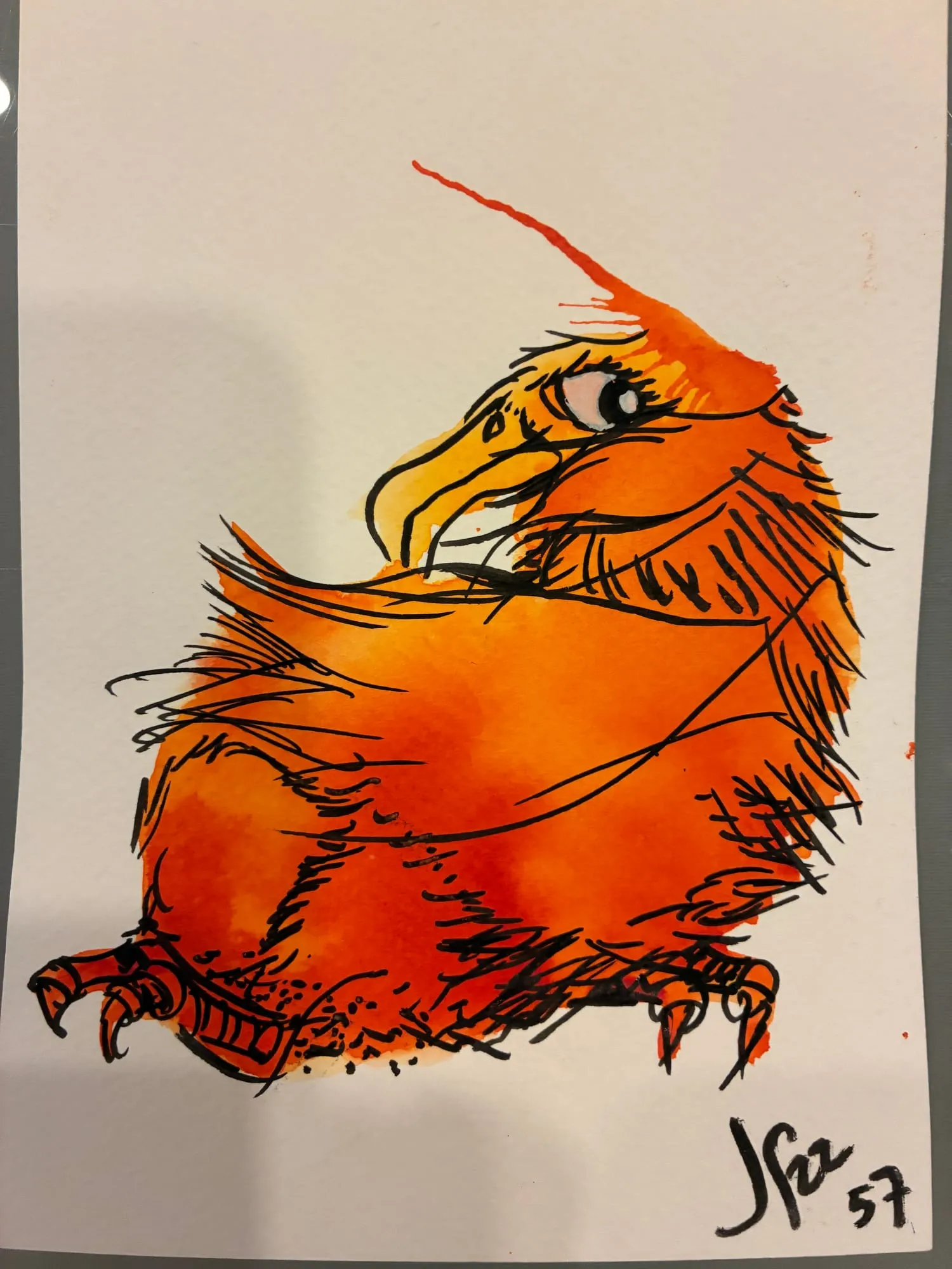 Exotic Bird (Orange, Looking Back), watercolor and pen and ink on paper